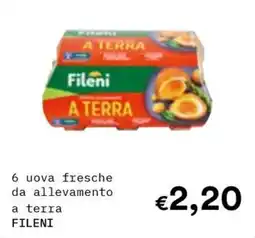 Borello Supermercati Uova fresche a terra Fileni offerta