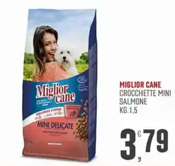 Marketpiù Miglior cane Mini Delicate offerta