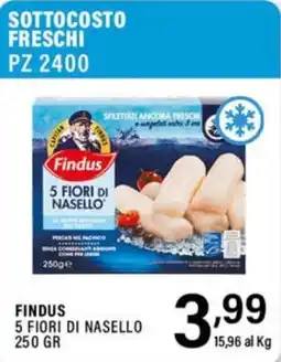 Gecop Findus 5 Fiori di Nasello offerta