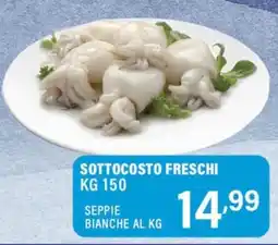 Gecop Seppie bianche offerta