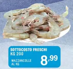 Gecop Mazzancolle offerta