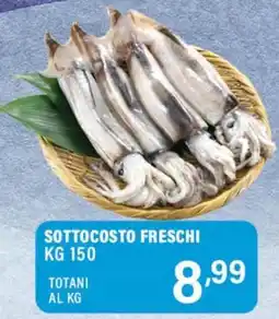Gecop Totani offerta
