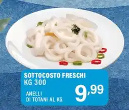 Gecop Anelli di totani offerta