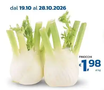 Finocchi
