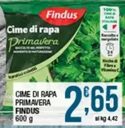 Sidis mini Cime di rapa Primavera Findus offerta