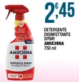 Sidis mini Detergente disinfettante spray Amuchina offerta