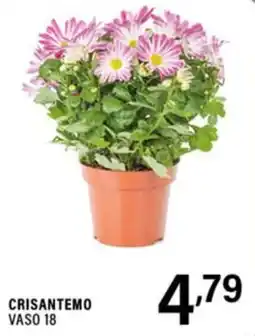 Gecop Crisantemo Vaso 18 offerta