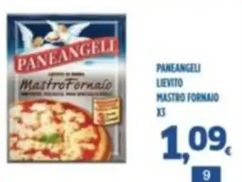 Paneangeli lievito mastro fornaio