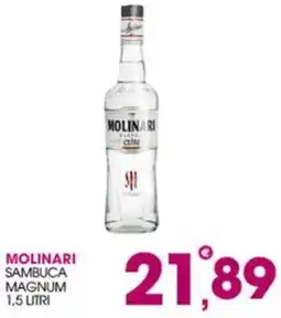 Rosa Cash Molinari Sambuca Magnum offerta