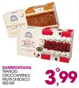 Rosa Cash Sammontana Trancio Croccantino/ Frutti di Bosco offerta