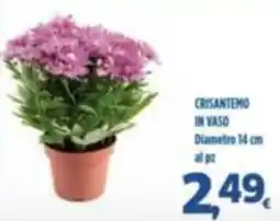 Orizzonte Supermercati Crisantemo in vaso offerta