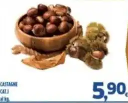 Orizzonte Supermercati Castagne offerta