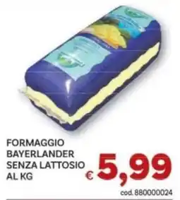 Vivo Supermercati Formaggio Bayerlander senza lattosio offerta