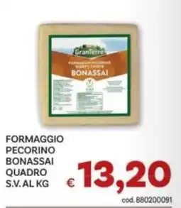 Vivo Supermercati Formaggio pecorino bonassai quadro granterre offerta