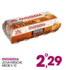 Rosa Cash Uova fresche Ovogioia offerta