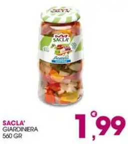 Rosa Cash Sacla' giardiniera offerta