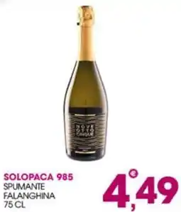 Rosa Cash Solopaca 985 Spumante Falanghina offerta