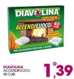 Rosa Cash Diavolina accendifuoco offerta
