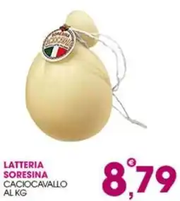 Rosa Cash Caciocavallo Lattiera Soresina offerta