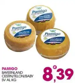 Rosa Cash Pamigo Bayernland offerta