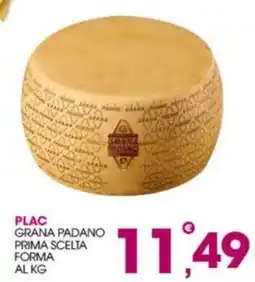 Rosa Cash Plac Grana Padano Prima Scelta offerta