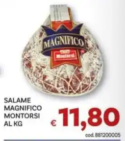 Vivo Supermercati Salame magnifico Montorsi offerta