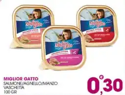 Rosa Cash Miglior Gatto Vaschetta offerta