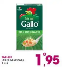 Rosa Cash Gallo riso originario offerta