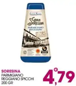 Rosa Cash Soresina Parmigiano Reggiano spicchi offerta