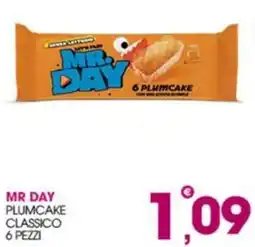 Rosa Cash Mr Day plumcake classico offerta