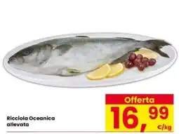 Interspar Ricciola Oceanica allevata offerta