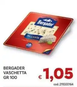 Vivo Supermercati Bergader vaschetta piccante offerta
