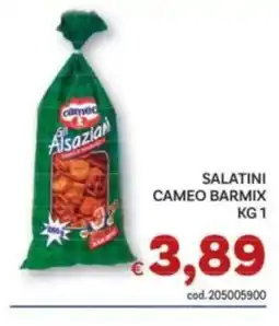 Vivo Supermercati Salatini Cameo Barmix offerta
