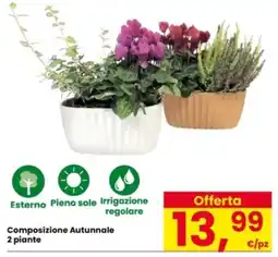 Interspar Composizione Autunnale offerta