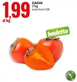 Eurospin Cachi bauletto offerta