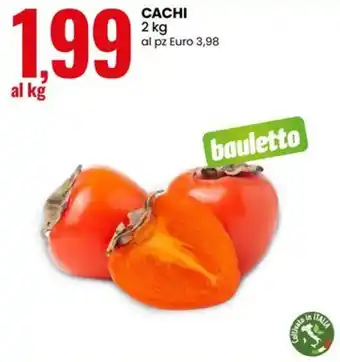 Cachi bauletto