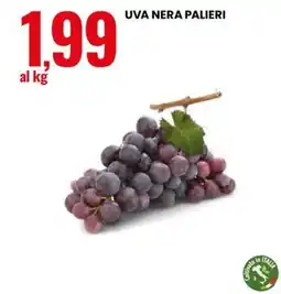 Eurospin Uva nera Palieri offerta