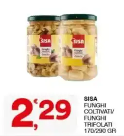 Sisa SISA Funghi coltivati/Funghi trifolati offerta