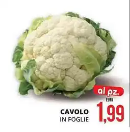 Mazzeo Giocattoli Cavolo in foglie offerta