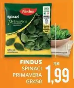 Mazzeo Giocattoli Findus Spinaci Primavera offerta