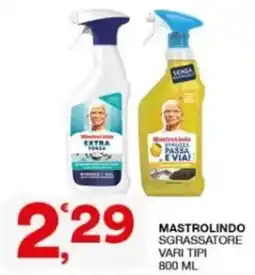 Sisa Mastrolindo sgrassatore offerta