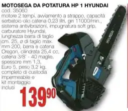 Mondo Brico Motosa da potatura HP 1 Hyundai offerta