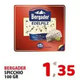 Premium Supermercati Bergader spicchio offerta
