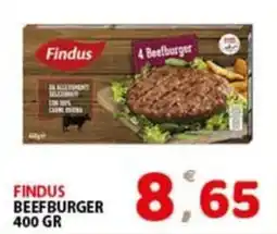 Premium Supermercati Findus Beefburger offerta