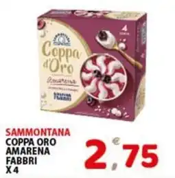 Premium Supermercati Coppa Oro Amarena Fabbri offerta
