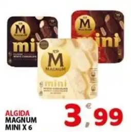 Premium Supermercati Algida Magnum mini offerta