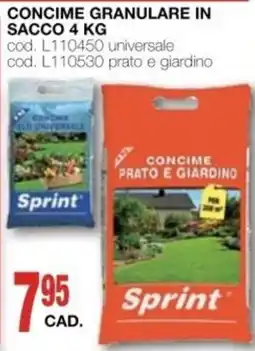 Mondo Brico Concime granulare Sprint offerta