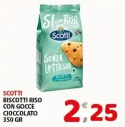 Mio Market Scotti biscotti riso con gocce cioccolato offerta