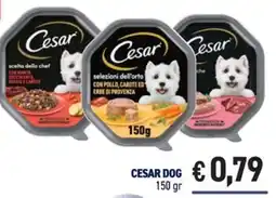 Determarket Cesar Dog offerta
