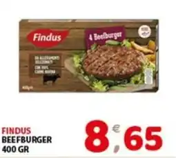 Mio Market Findus Beefburger offerta